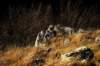dsc_2240_small.jpg
