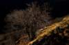 dsc_2258_small.jpg