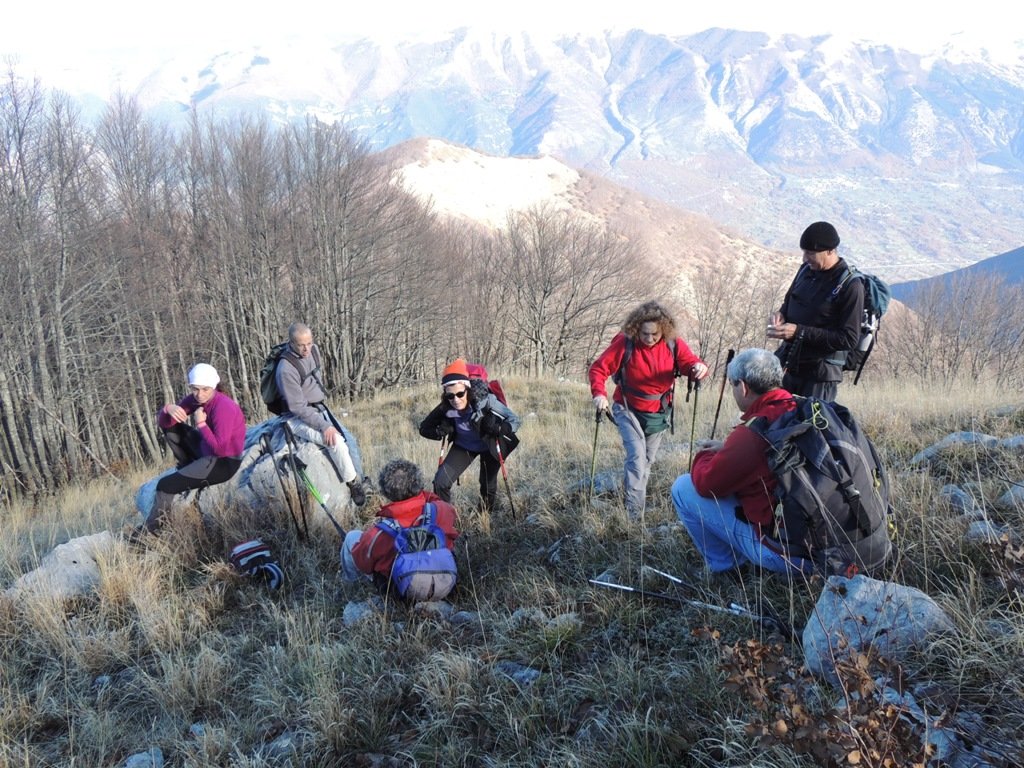 dscn0520.jpg