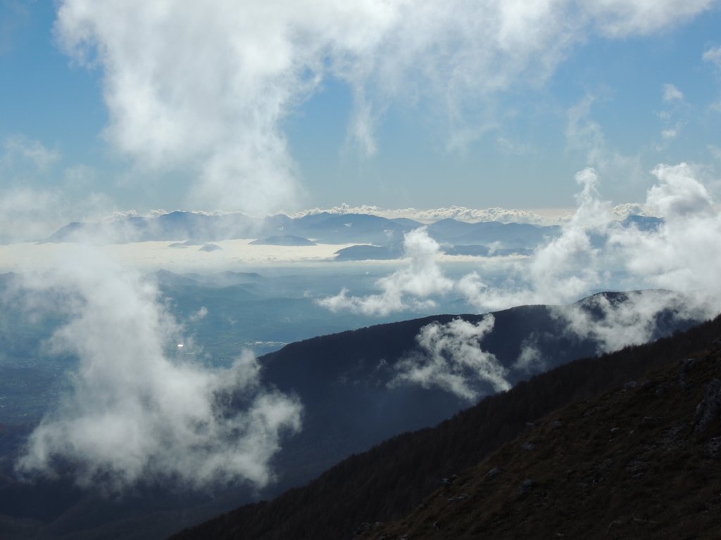 dscn0539.jpg