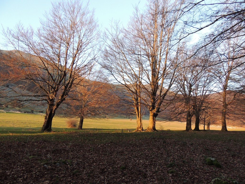 dscn0639.jpg