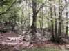 dscn7628_small.jpg