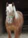 dscn7157_small.jpg
