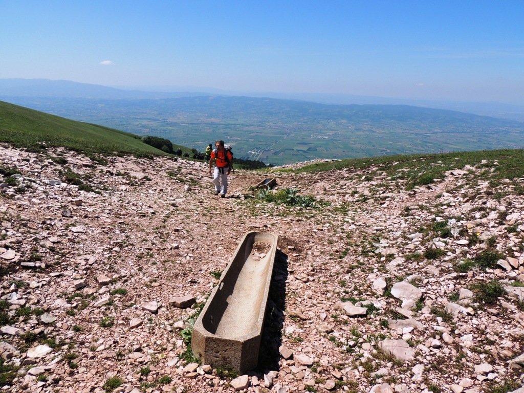 dscn7264.jpg