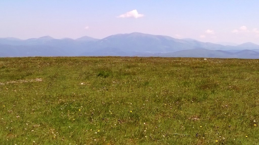 wp_20160521_12_39_04_pro.jpg