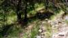 wp_20160521_15_14_49_pro_small.jpg