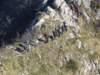 dscn5231_small.jpg
