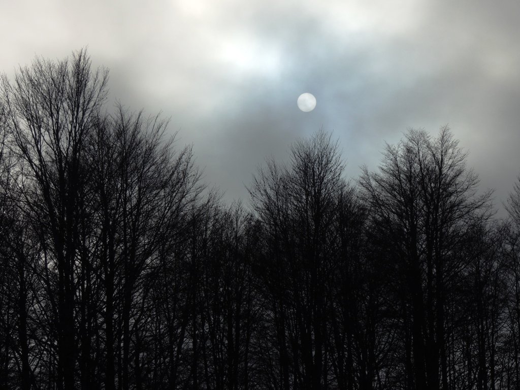 dscn5246.jpg