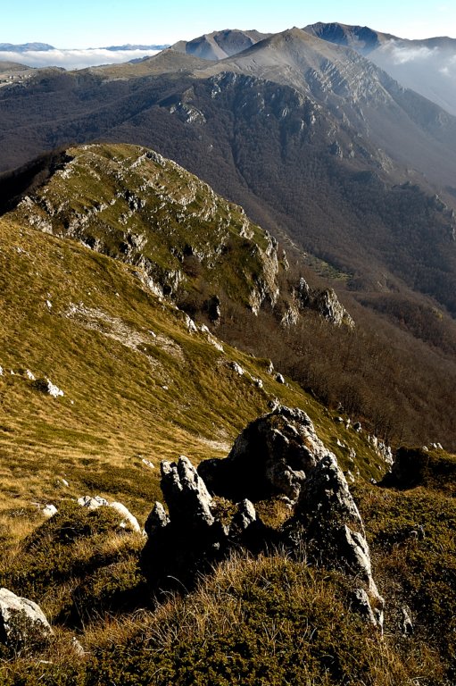 photo14.jpg