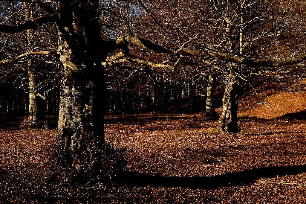 photo19.jpg