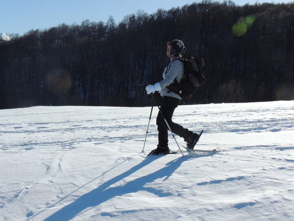 dscn9597.jpg