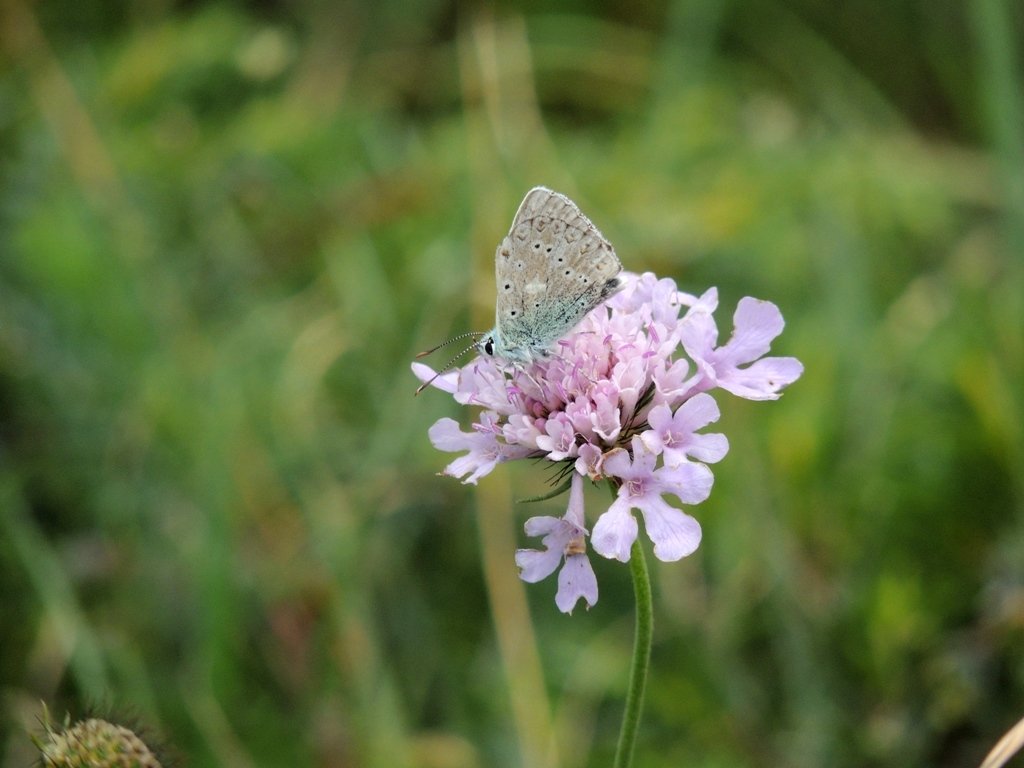 dscn3925.jpg