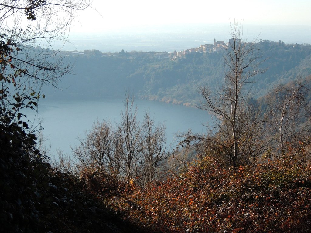 dscn8373.jpg