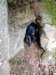 dscn8482_small.jpg