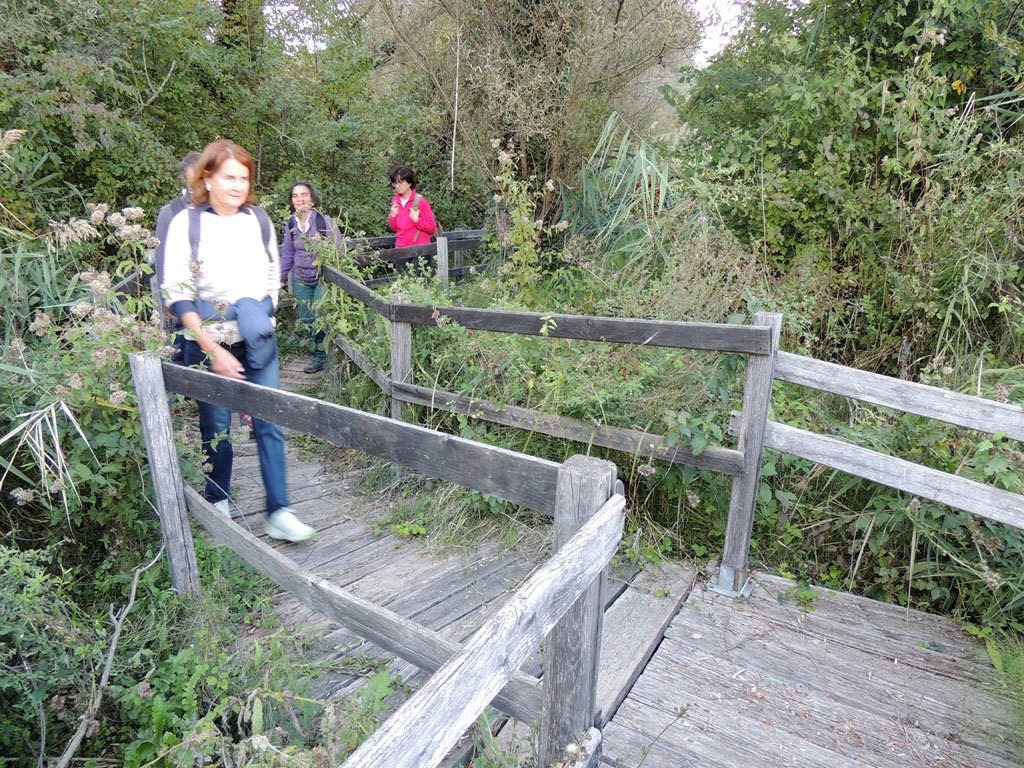 dscn8858.jpg
