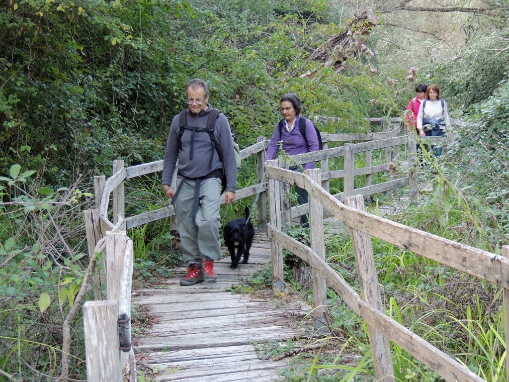 dscn8862.jpg
