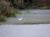 dscn8871_small.jpg
