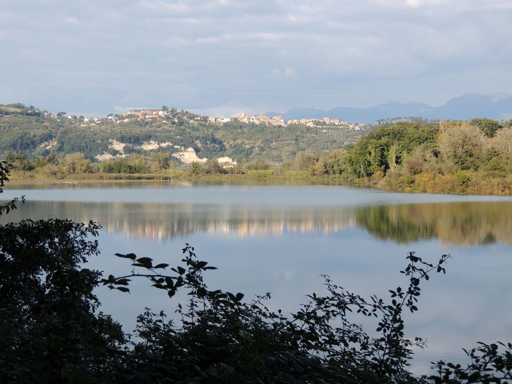 dscn8875.jpg