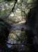 dscn4441_small.jpg