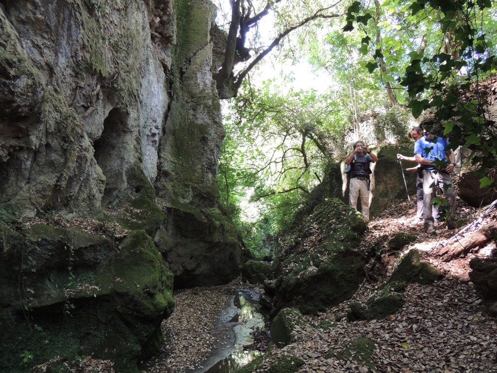 dscn1732.jpg