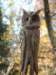 dscn8919_risultato_small.jpg