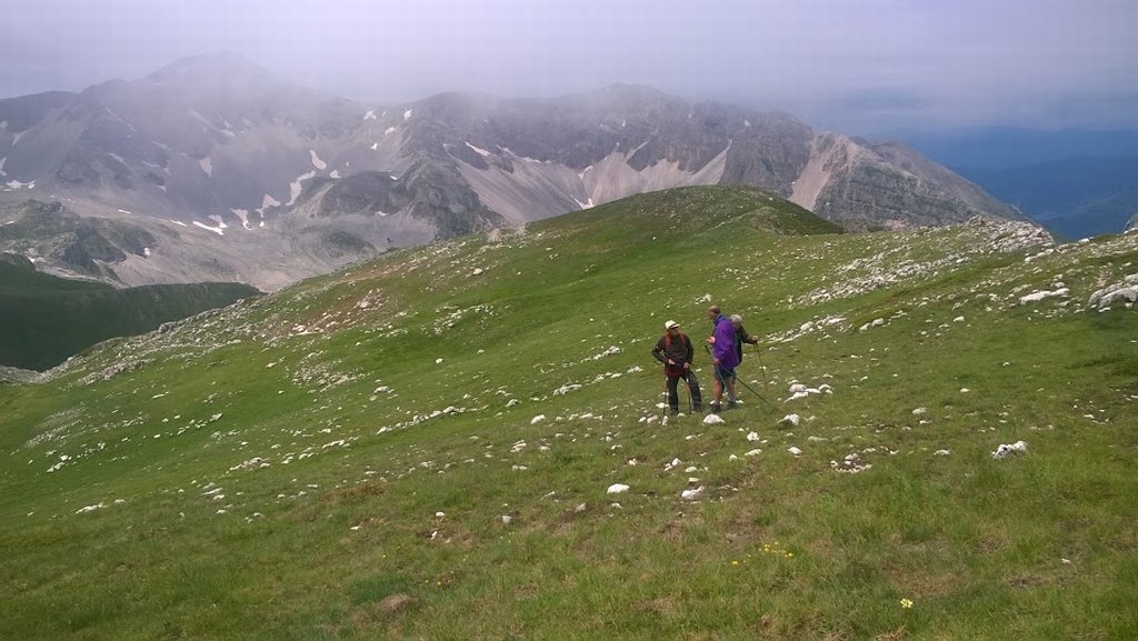 wp_20180623_11_50_40_pro.jpg