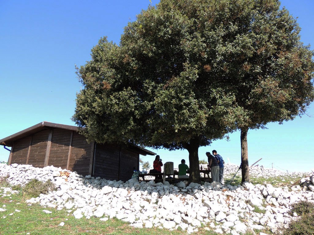 dscn6170.jpg