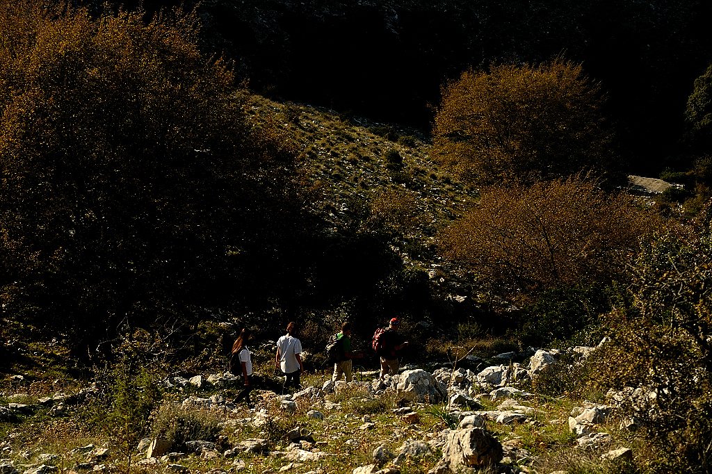 photo16.jpg