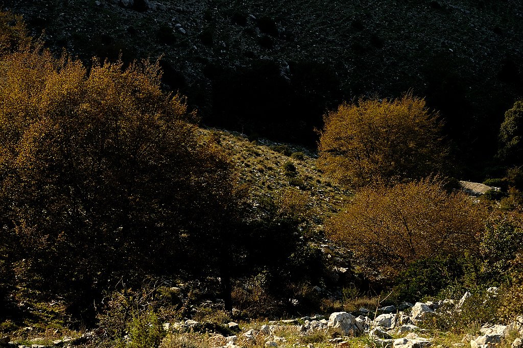 photo17.jpg