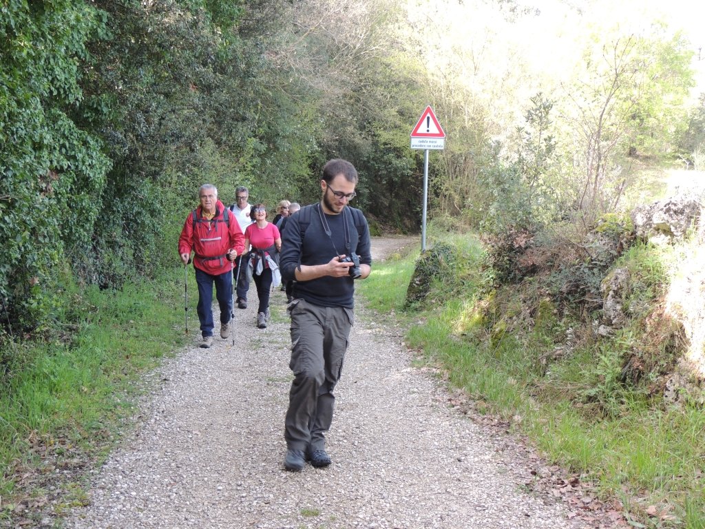 dscn5139.jpg