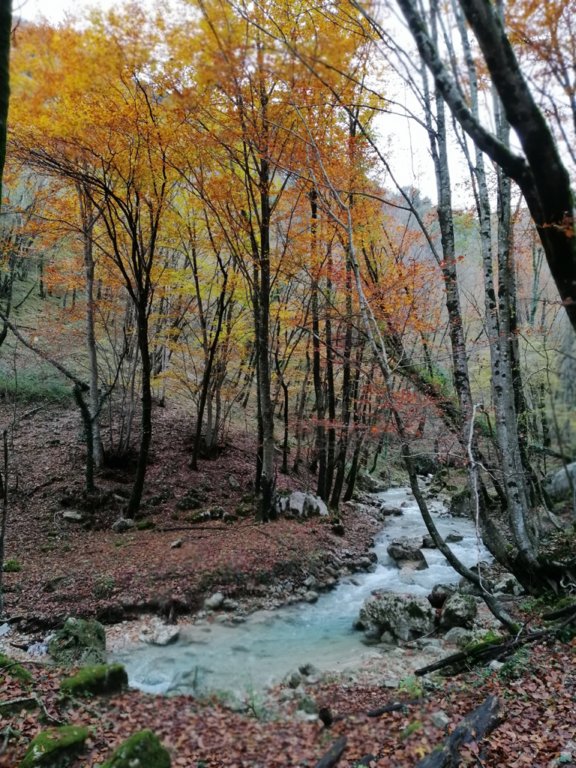 img_20191123_105610.jpg