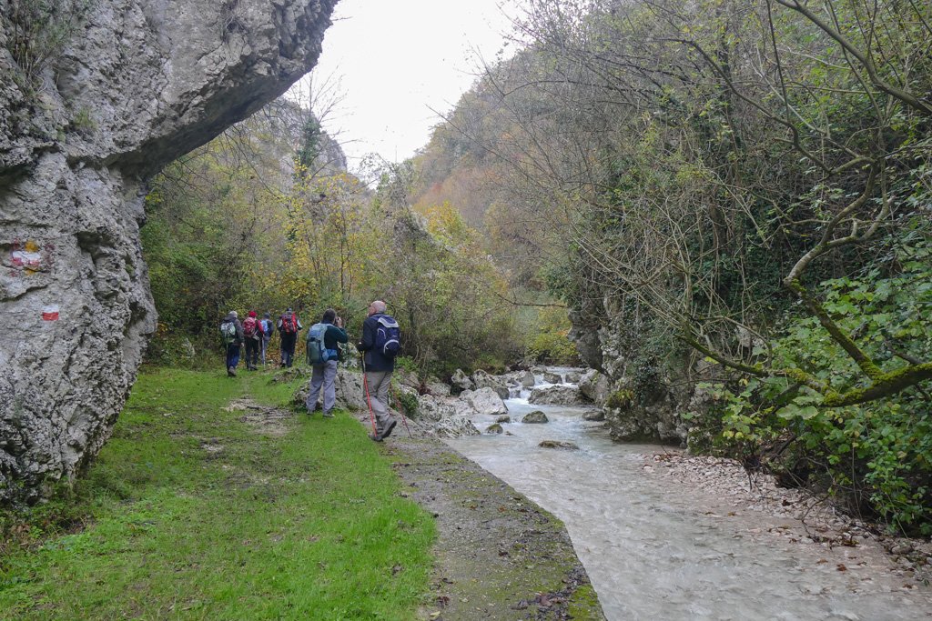 p13506171.jpg