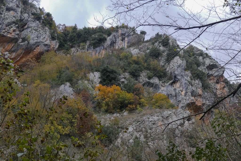 p13506211.jpg
