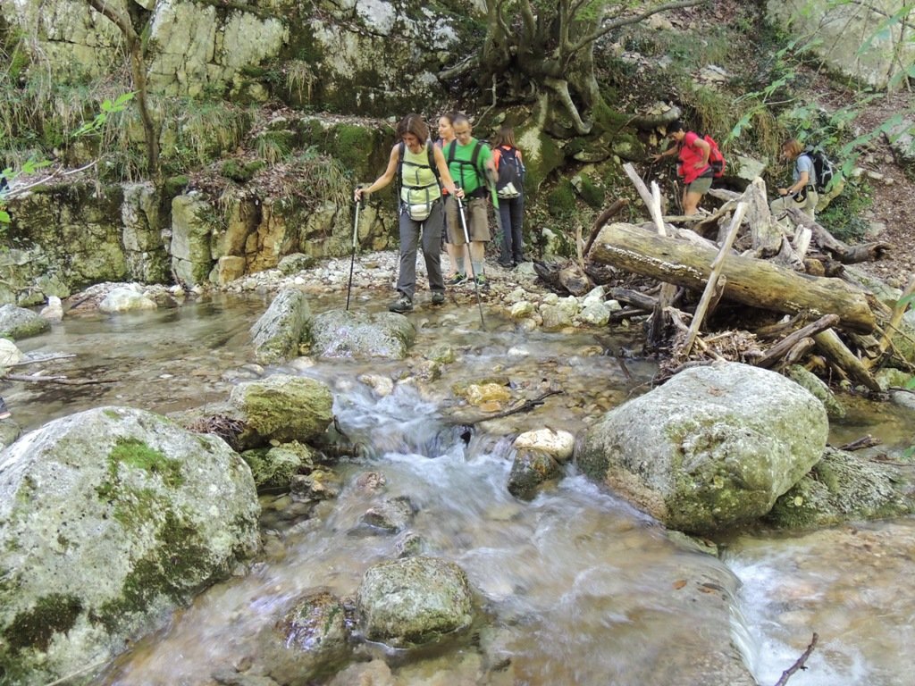 dscn7746.jpg