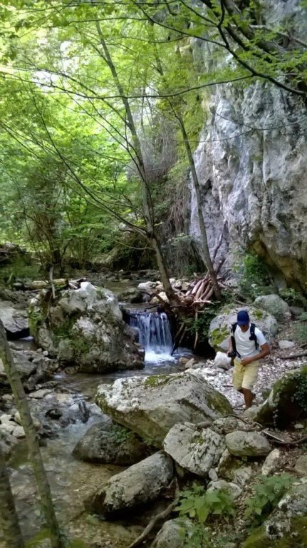 wp_20160709_10_16_23_procopiacopia.jpg