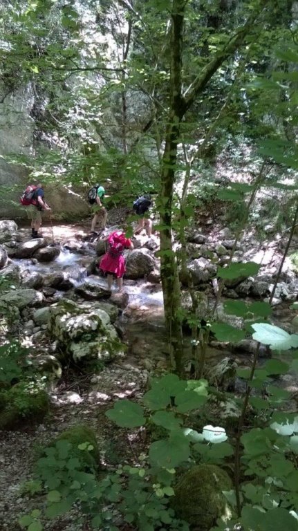 wp_20160709_13_53_45_pro.jpg