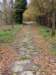 dscn6337_small.jpg