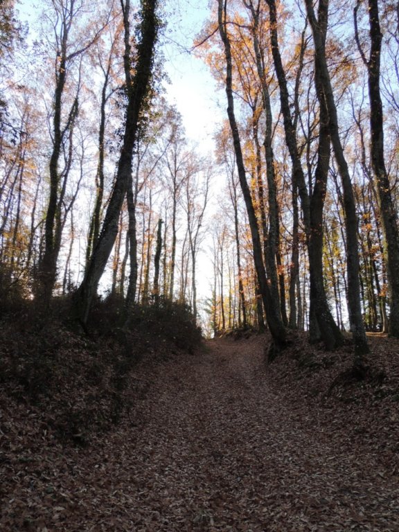 dscn0801.jpg