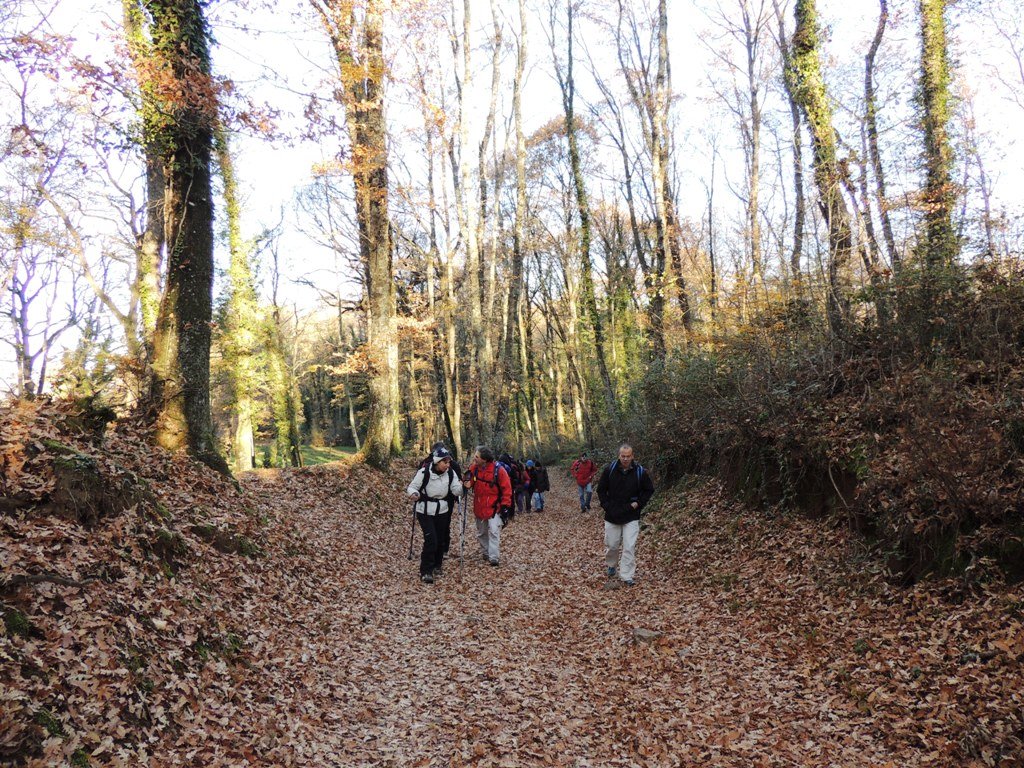 dscn0802.jpg