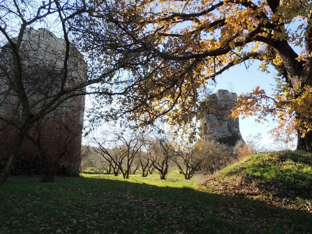 dscn0830.jpg