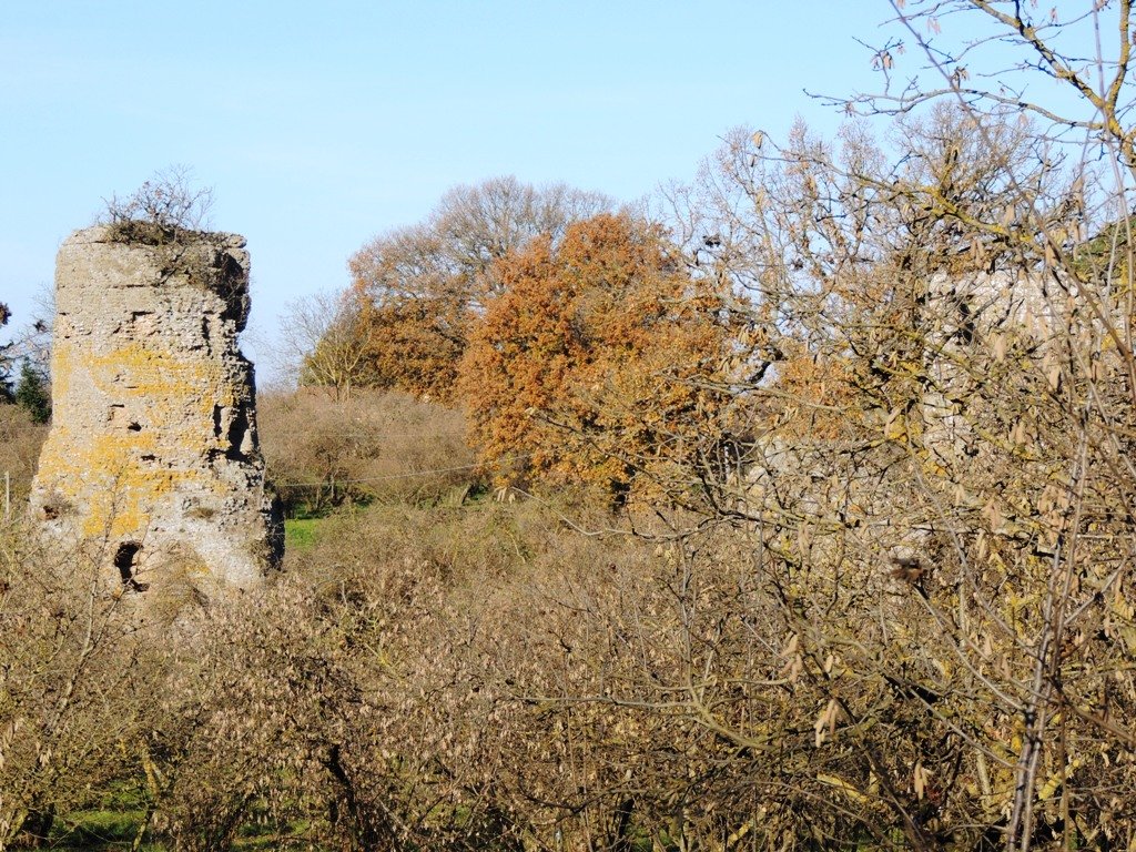 dscn0836.jpg