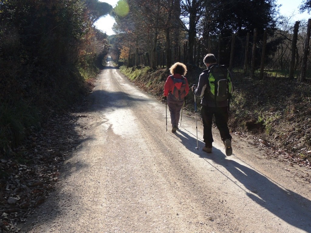 dscn0843.jpg