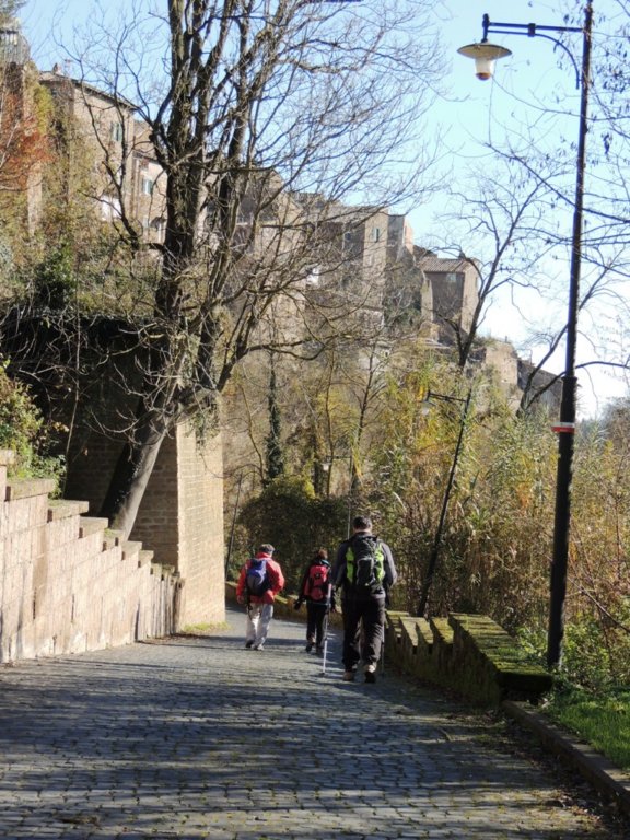 dscn0846.jpg