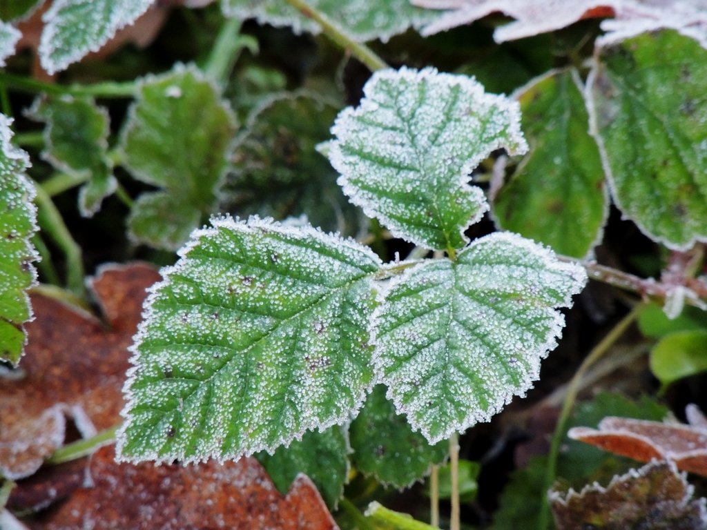 dscn0879.jpg