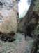 dscn0959_small.jpg