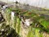 dscf5687_small.jpg