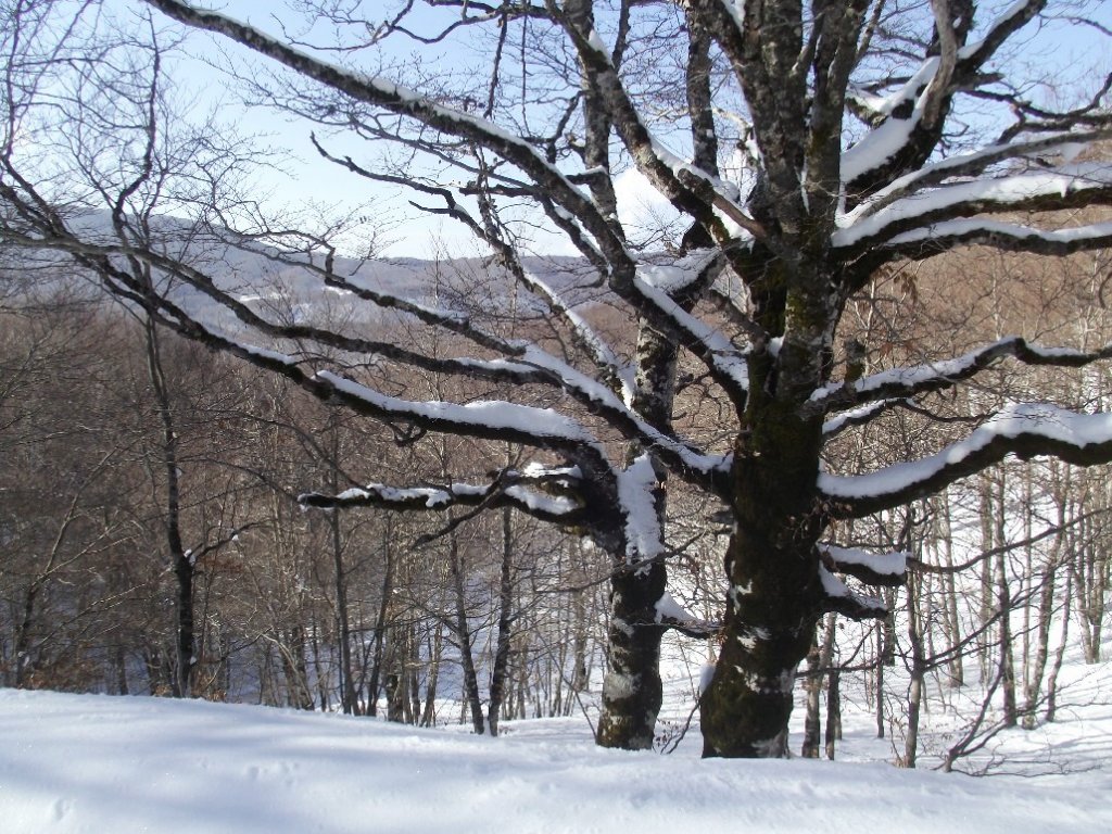 dscf5934.jpg