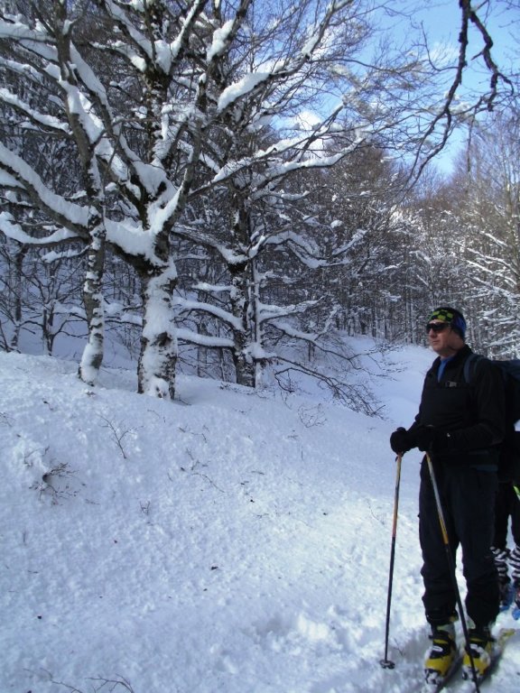 dscf5964.jpg