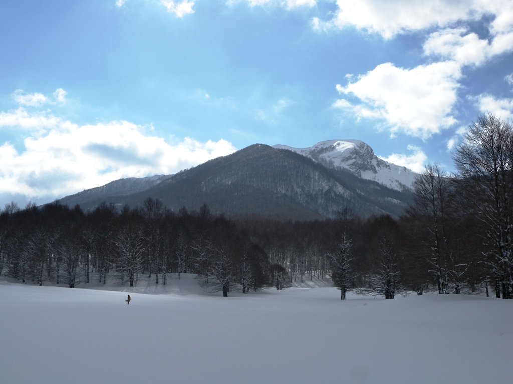 dscn9928.jpg