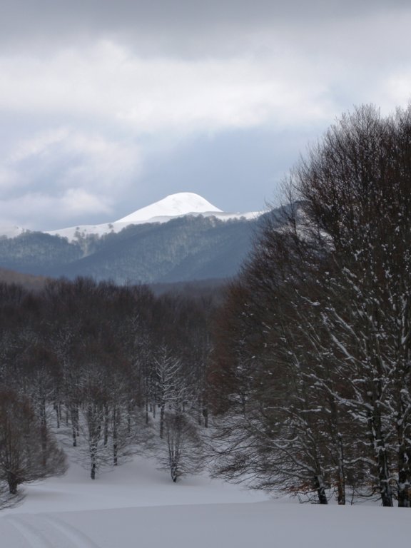 dscn9942.jpg